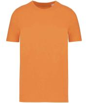 Image for NS300 CLH L